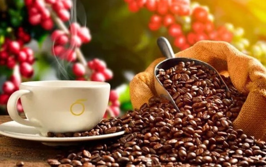 Día Nacional del Café: Productores piden mayor inversión en producción de café
