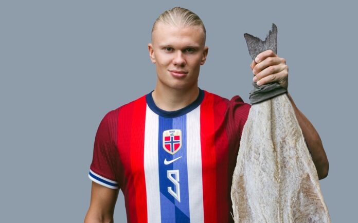 Erling Haaland