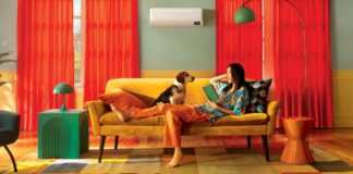 ¿Tu mascota se queda sola en casa? Así puedes mantenerla fresca y cómoda