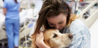 La compañía de un animal ayuda a pacientes con ACV a moverse más y participar en su rehabilitación