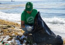 EDEESTE reafirma su compromiso con el cuidado del medio ambiente mediante jornada de limpieza de costas