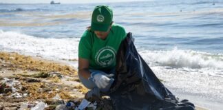 EDEESTE reafirma su compromiso con el cuidado del medio ambiente mediante jornada de limpieza de costas