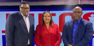 Diputada Elvira Corporán destaca inversiones de Abinader en San Juan; asegura la gente ve en David el sucesor de Luis