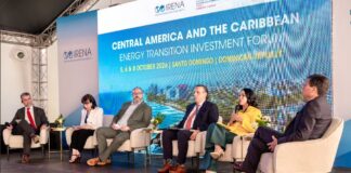 ETED participa en foro IRENA sobre inversión para la transición energética e informa iniciativas de modernización, expansión y fortalecimiento